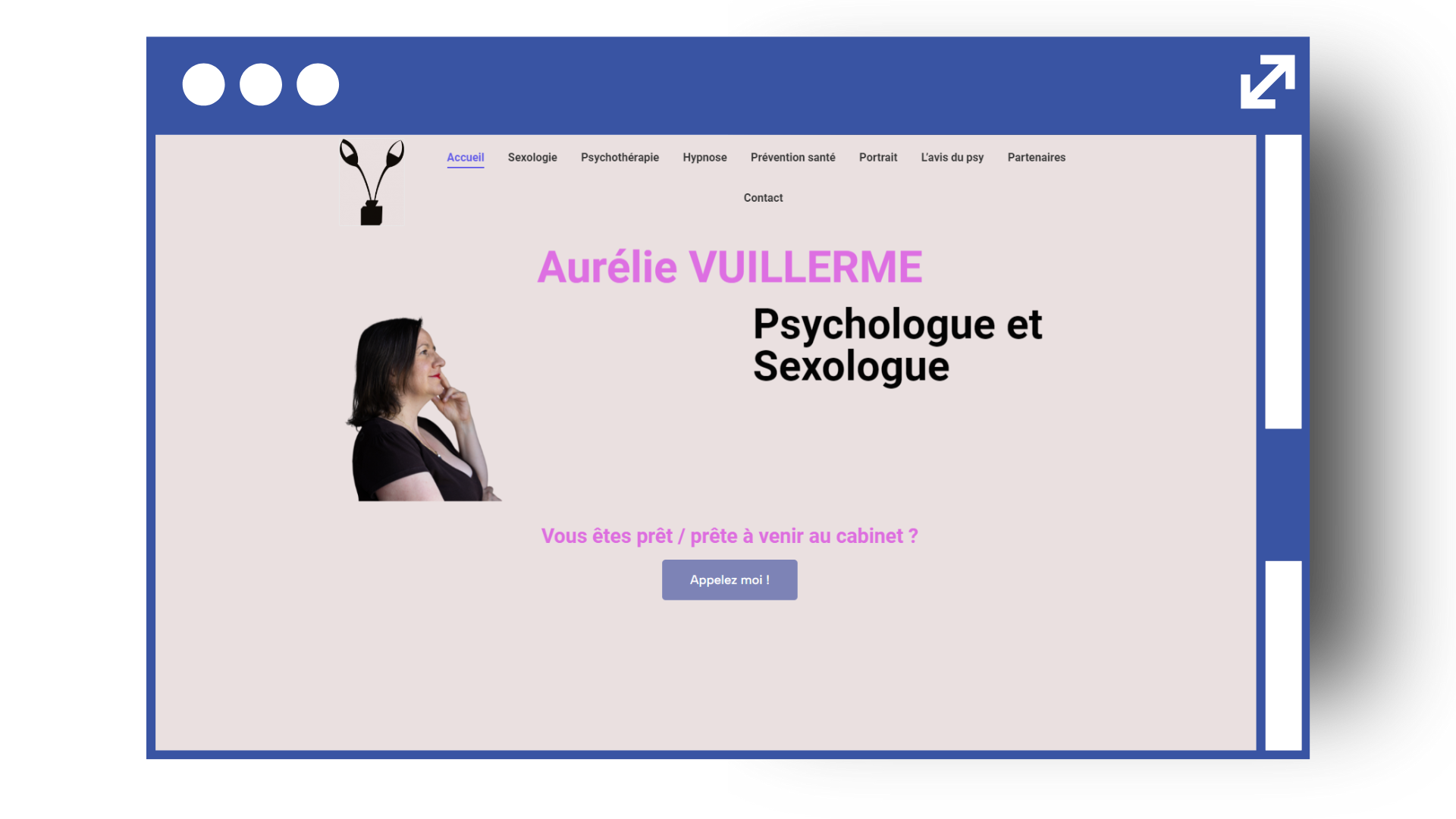 Site Aurelie Vuillerme